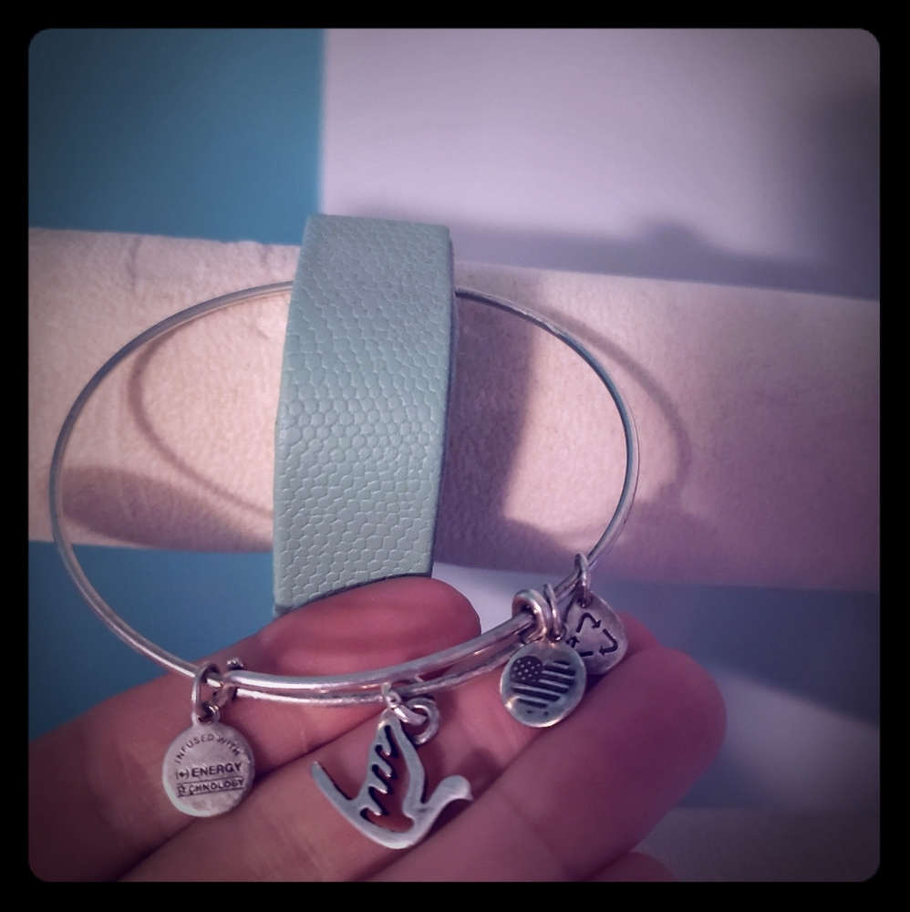 Alex and Ani dove bangle